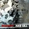 Jake Gill - Insanity