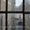 Sean Kearns - Present Tense