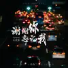 Yun Fei Fei - 谢谢你忘记我 - Single