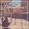 Liccatrio - Osmanthus - Single