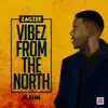 Zagzee - Vibez from the North - EP