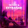 Noide, Cabeatslo & Noiztep - Te Voy a Extrañar (feat. Diaaper) - Single