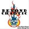 Beyond Chaotic - You Don't Even Know (Kung Fu) - Single