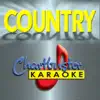 Chartbuster Karaoke - For the Kids (Karaoke Track and Demo) - Single