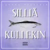 Juhana Haukkala - Silliä kullekin - Single