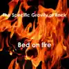 Specific Gravity of Rock - Bed on Fire