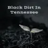 Nik and Sam - Black Dirt in Tennessee - Single