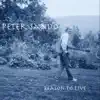 Peter Sando - Reason to Live