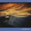 Waking Vision - Of the Waking Vision