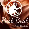 LoFi Monkeys - Past Beat