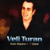 Veli Turan - Senin Olaydım - Sildim