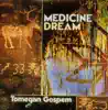 Medicine Dream - Tomegan Gospem