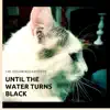 The DreamingPanthers - Until the Water Turns Black - Single