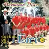 Herminio Diaz Y Su Banda Lirio - Sueños De Oro