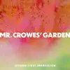 Mr. Crowes' Garden - Second First Impression