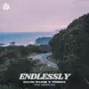 David Shane & Forbes - Endlessly (The Remixes) - EP