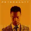 Peter Gantt - Ride It Out - Single