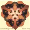 James Hollingsworth - Alive In 2005