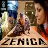 DJ Krmak - Zenica - Single