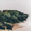 United Nature - Gentle Waves at a Northern Shore - Single