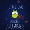 Little Owl - Musicbox Lullabies