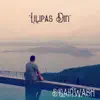 Brainwash Band - Lilipas Din - Single