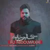 Ali Abdolmaleki - Setareye Donbaleh Dar - Single