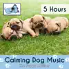 Relaxmydog - Calming Dog Music: The Puppy Edition - 5 Hours