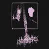 Calling Of Phasmic Presence - Calling of Phasmic Presence - Single