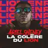 Ariel Sheney - La colère du lion - Single