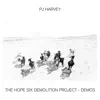 PJ Harvey - The Hope Six Demolition Project - Demos