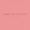 Sunday Night Piano Club - Where Are You Now (Piano Version) - Single