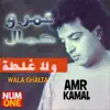 Amr Kamal - Wala Ghalta