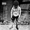 YTSmatt - Are You In the Mafia (feat. Drey10k) - Single