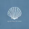 Operandum - Signals from the Ocean - Single