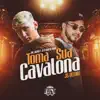 JS o Mão de Ouro & Mc Jacaré - Toma Sua Cavalona (Js Remix) - Single