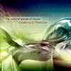 Various Artists - The Natural Waves of Sound, Vol. 3