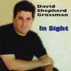 David Shepherd Grossman - In Sight