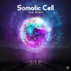 Somatic Cell - His Wish