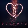 Type Zero - Goodbye - Single