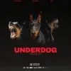 Roc Lauren - Underdog (feat. Cool Quellz & DiceGameDro) - Single