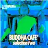 Various Artists - DJ Dharma Presents Buddha Café, Selection 2