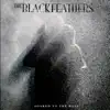 The Black Feathers - Soaked to the Bone