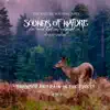 The Nature Soundscapes, Worldwide Nature Studios & Nature's Noise - Sounds of Nature - Thunder and Rain in the Forest for Meditaion, Relaxation, Stress Relief, Vol. 1