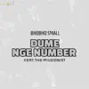 Bhobho Small - Dume Nge Number (feat. The Missionist) - Single