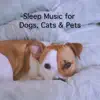 Rain Sounds & Rain for Deep Sleep - Sleep Music for Dog, Cat & Pets