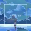 Joseph Zhang - Shelter - Single