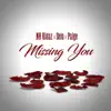 NB Ridaz, Selo & Paige - Missing You - Single