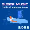 Lofi Dj - Sleep Music: Chill Lofi Ambient Beats 2022 for Stress Relief and Relaxation