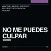 Fernnando - No Me Puedes Culpar - Single